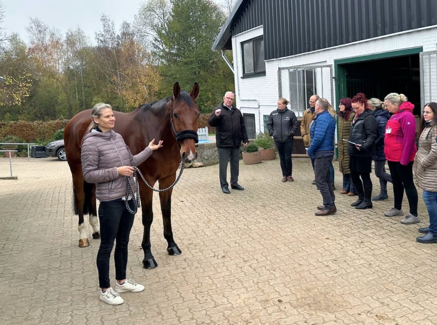 Richteranwaerterseminar_1